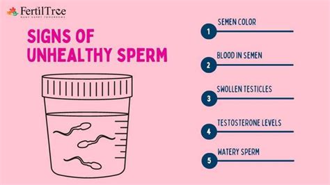 How Do Healthy Sperm Look Like