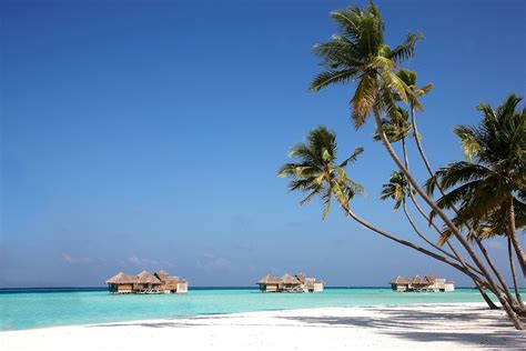 Gili Lankanfushi A Paradisaical Resort In Maldives Architecture And Design