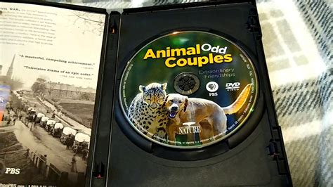 Nature Animal Odd Couples Dvd Review Youtube