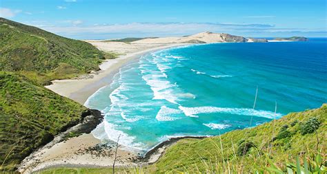Best Beaches In New Zealand Beach Tomato