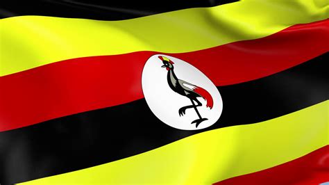 Uganda Waving Flag Background Loop Stock Motion Graphics Sbv 307523438