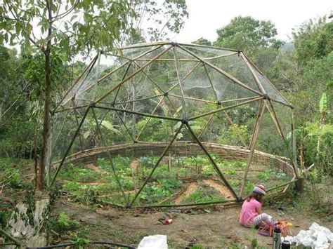 Bamboo Dome With Wattle Fence Greenhouse Geodesic Dome Greenhouse