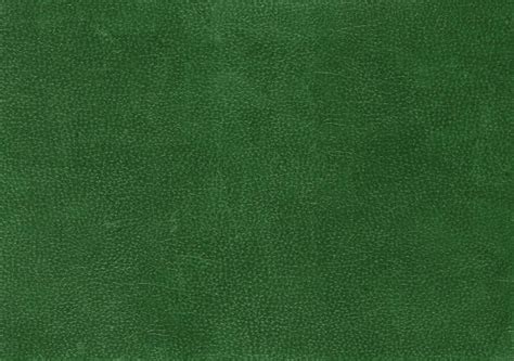 Best Green Leather Stock Photos Pictures And Royalty Free Images Istock