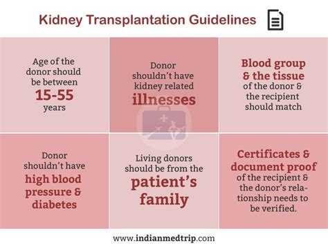 What Are The Requirements For Kidney Donation
