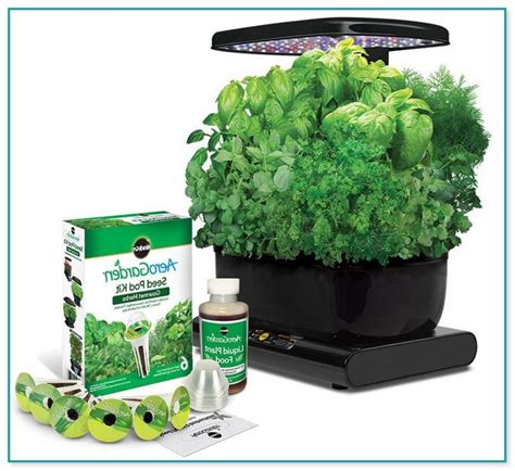 Hydroponic Kits For Beginners Home Improvement