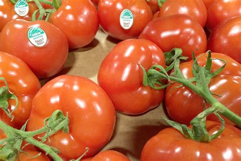 Organic Cluster Tomatoes Produce Geek