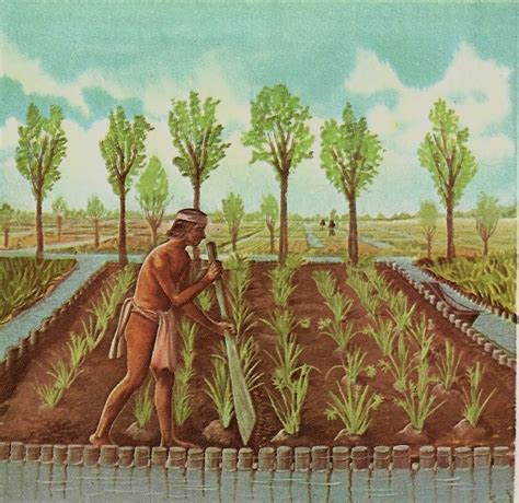 Como As Chinampas Eram Construídas