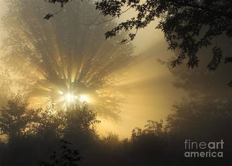 Early Morning Foggy Sunrise Photograph By Randy Steele