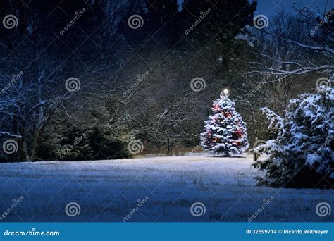 Magical Snow Covered Christmas Tree Stands Out Bri Stock Images Image