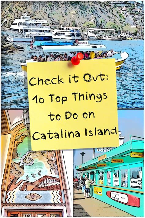 Best 25 Santa Catalina Island Ideas On Pinterest Avalon