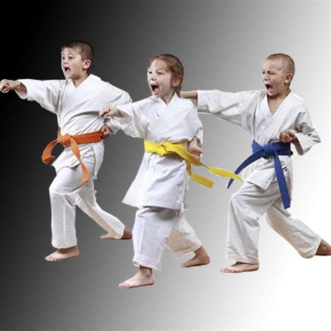 Benefits Of Karate World Shotokan Karate Do Federation Australia