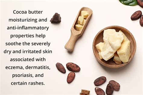 Cocoa Butter Vs Shea Butter Differences And Beauty Benefits