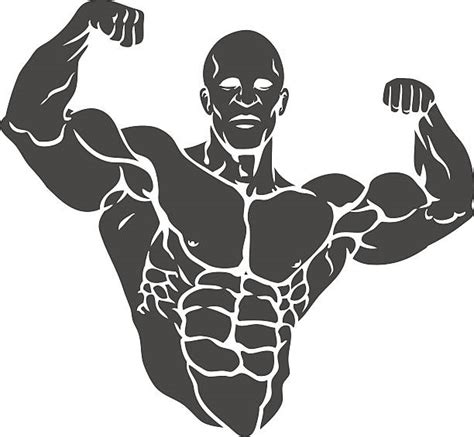 Body Builder Clip Art At Vector Clip Art Online Royalty Images And Photos Finder