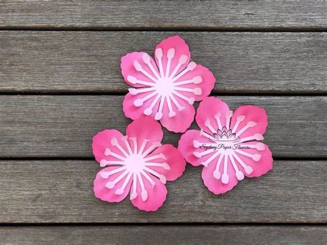 Cherry Blossom Paper Flower Template And Tutorialsvg Pdf Cricut