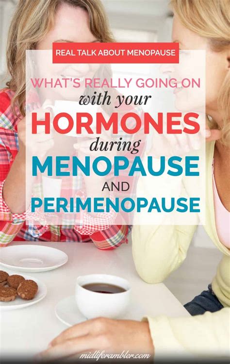 Everything You Need To Know About Your Hormones During Menopause And