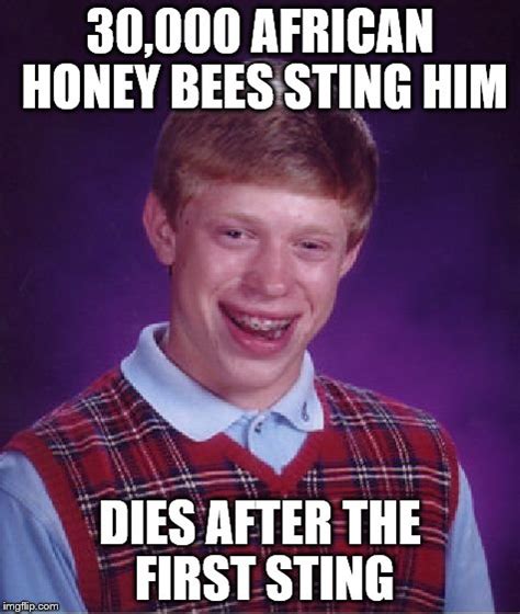 Bee Sting Imgflip