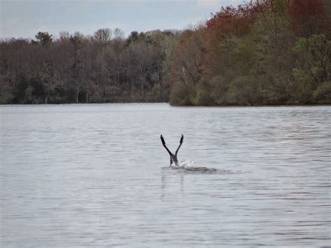 Make a reservation for nockamixon state park. Nockamixon State Park, Bucks County, PA, Near Quakertown ...