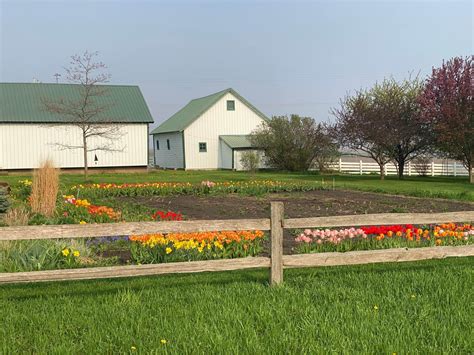 Miscellaneous for sale in Waterloo, Iowa | Facebook Marketplace