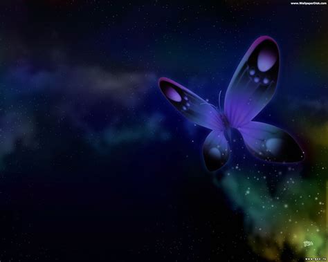 🔥 Free Download Wallpaper 3d Butterfly Wallpapers And Pictures