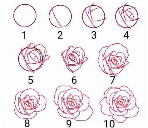 Cara Menggambar Bunga Yang Mudah Cilacap Klik