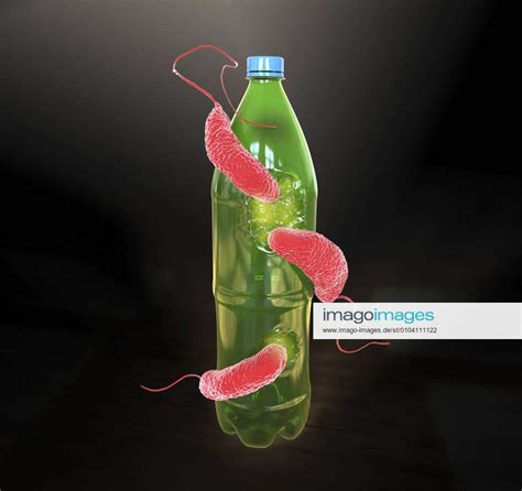 Plastic Degrading Bacteria Illustration Computer Illustration Of