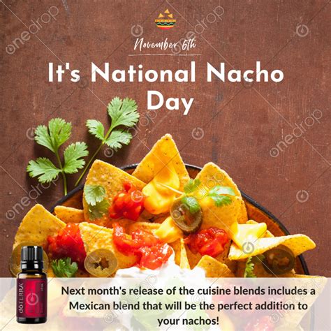 6 November National Nacho Day National Nacho Day Mexican Cuisine
