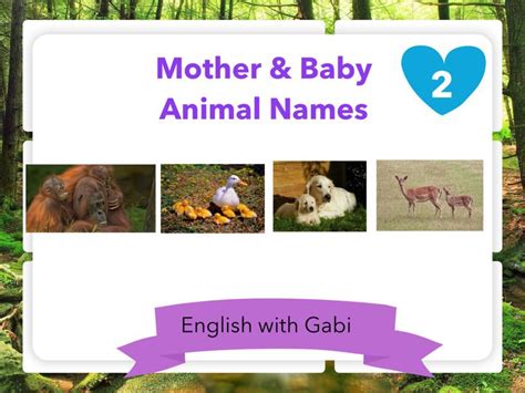 Play Mother And Baby Animal Names Part 2 By English With Gabi אנגלית עם