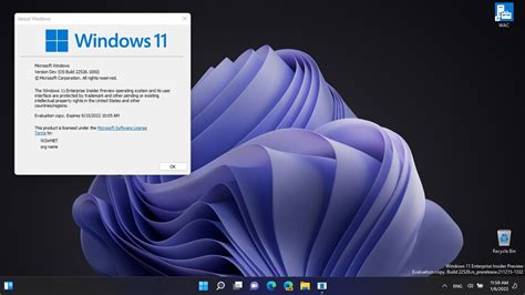 Windows 11 22449 Iso Download Willgase