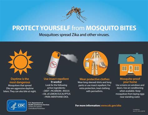 Pages Articleprotect Yourself From Mosquito Bites