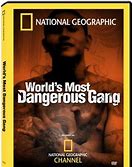 Image result for MS-13 Gang History