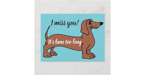 Sweet Dachshund I Miss You Its Been Too Long Card Zazzle