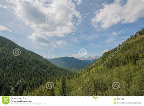Forested Valley Stock Photo Image Of Range Valley Outdoors 84824006