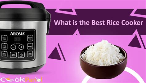 What Is The Best Rice Cooker A Complete Guide What Things To Consider Before Purchase