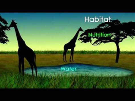 The area or environment where an organism or ecological community normally lives or occurs: What is an Ecosystem? - YouTube