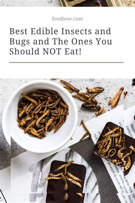 6 Best Edible Insects And Bugs And The Ones You Should Not Eat