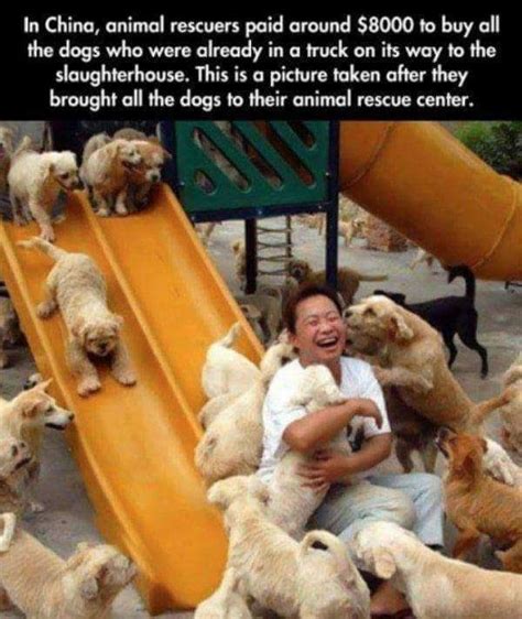 40 Heartwarming Memes That Will Restore Your Faith In Humanity