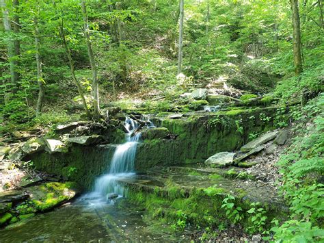Pine Creek Rail Trail The Fairy Tale Hiking Trail In Pennsylvania
