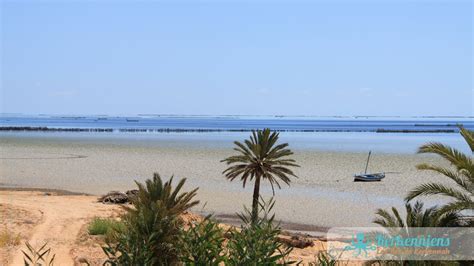 Marée Des îles De Kerkennah Tunisie 🐙 Kerkena
