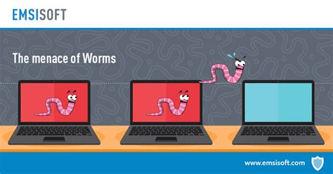 What Is A Computer Worm And How Does It Spread Emsisoft
