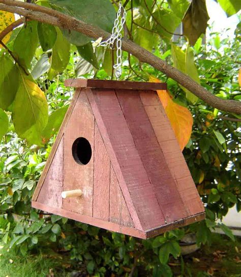 It is summer and came across many free birds flying around the house, so started putting some grains and water. French Oak Bird House