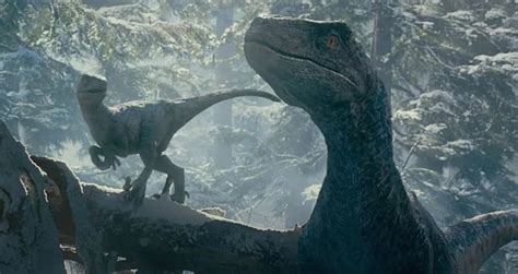 Jurassic World Domínio Terá Duração Mais Longa De Todos Os Filmes Jurassic Mundo Jurássico Br