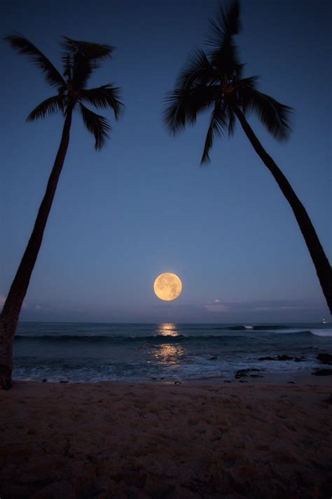 ß۞ɢʜᴏsᴛ〰〰ʀıᴅᴇʀ On Twitter Beautiful Moon Beautiful Nature Beautiful