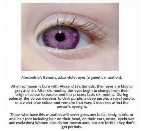 Alexandrias Genesis Tumblr Violet Eyes Purple Eyes Disease Eye Color