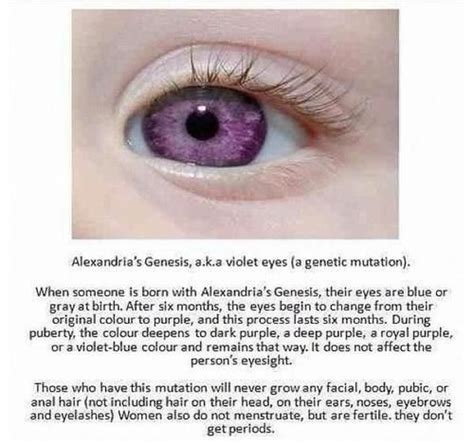 There are different approach to your problem but in my hand the most effective way is to do a conservative ha fillers such as restylane will improve the hollowed out appearance of the eyes. alexandria's genesis | Tumblr | Violet eyes, Purple eyes ...