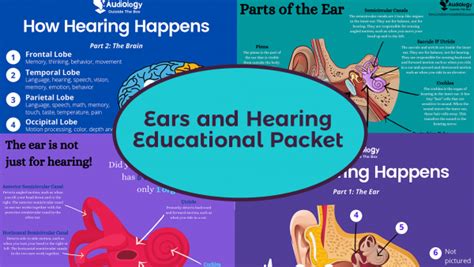 Ears And Hearing Educational Packet Audiology Outside The Box