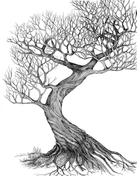 Twisting Tree By Ellfi On Deviantart Oak Tree Drawings Tree Drawing