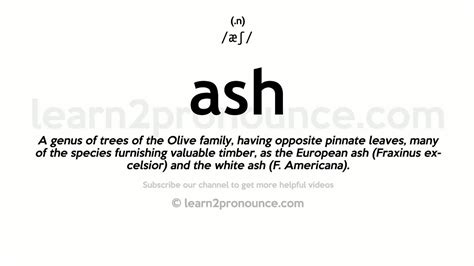 Pronunciation Of Ash Definition Of Ash Youtube