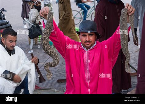 Marrakech Morocco Traditional Snake Charmers In Old Medina With Snakes