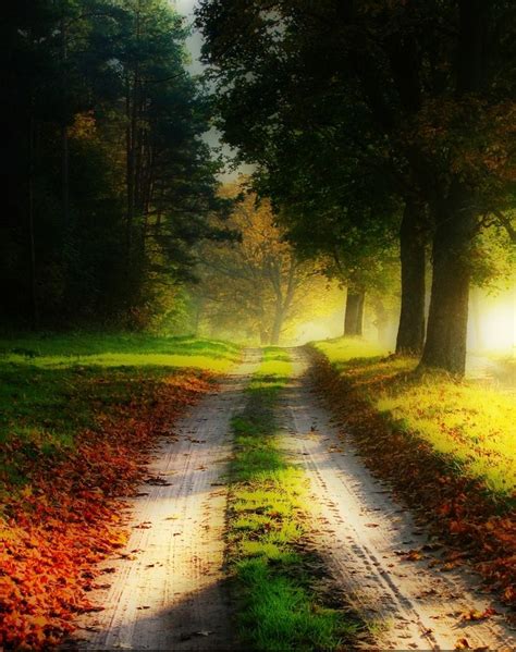 Autumn Morning Country Roads Beautiful Nature Road