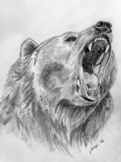 Realistic Bear Drawing By Vempiretattoo On Deviantart